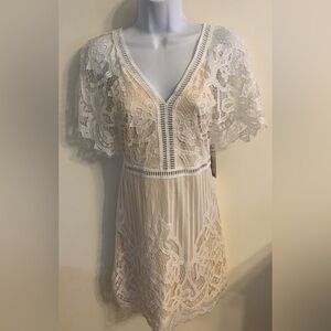 (NWT) Boohoo Ladies Size 6 Gorgeous Blush/ Ivory All Over Lace Bodycon